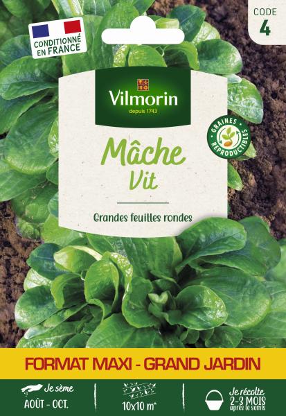 Potagères - Mâche Vit - Grand Modèle - face recto